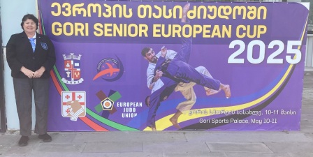 Referee Flys The Flag image